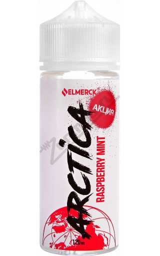 Arctica - Raspberry Mint 120мл