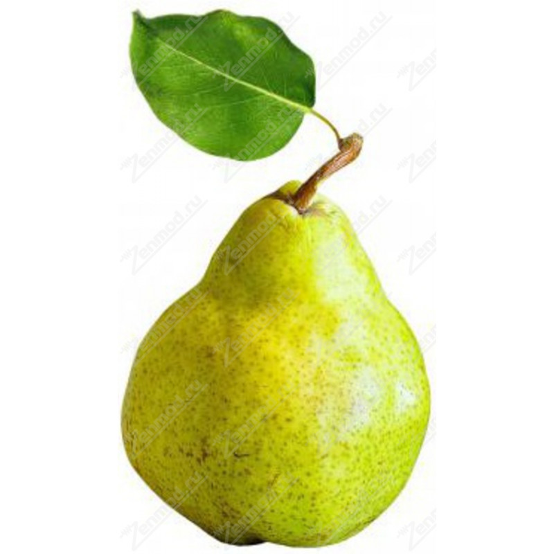 Фото и внешний вид — TPA - Pear 10мл