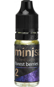 Mini SALT - Forest Berries 10мл