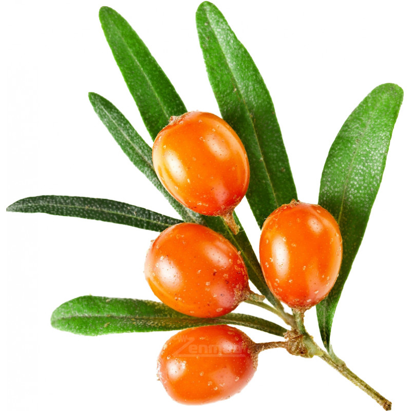 Фото и внешний вид — TPA - Sea Buckthorn 10мл